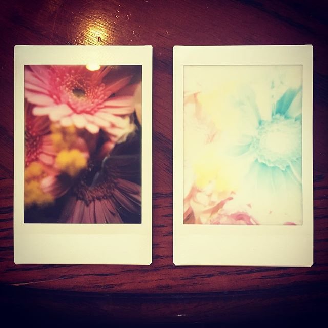 ロモインスタント、接写用のアタッチメントを付けて撮影。右なんて普通の写真としては完全に失敗なんだけど、アートとしては面白い。楽しいな〜♪#lomography #lomoinstant #instantcamera #instaxmini #flower #flowers #flowerstagram