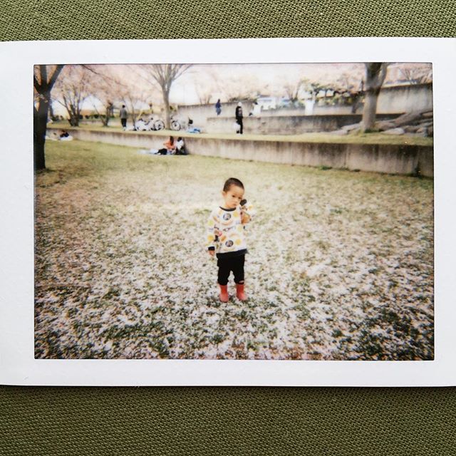 #portrait #kids #sakura #桜 #japan #cherryblossom #lomography #lomoinstant #automat #instax #instaxmini #instantcamera #film #flowerstagram #filmphotography