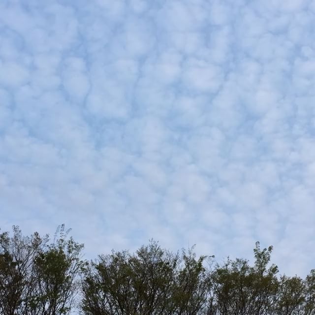 雲が流れていく。最後に流れ星みたいに飛行機が飛んで行きます（笑#空 #sora #雲 #clouds #timelapse