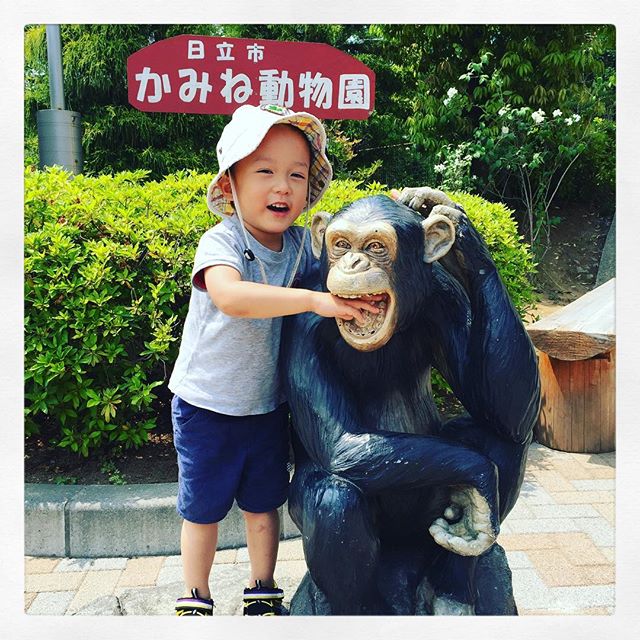 「ゾウさん行きたい！ゾウさん行きたい！」のリクエストにお応えして、男ふたり旅🚐#かみね動物園 #zoo #チンパンジー